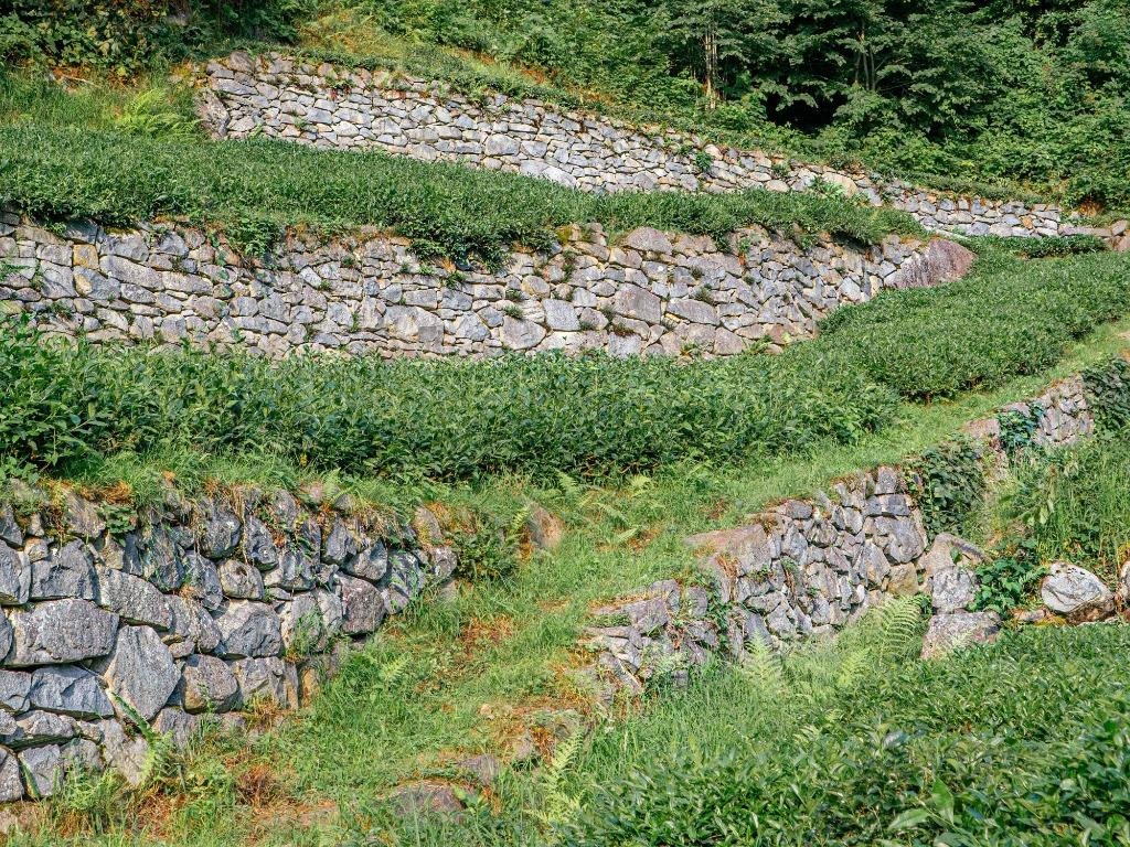 Aménagement de mur de soutènement en pierres naturelles dans le Morbihan